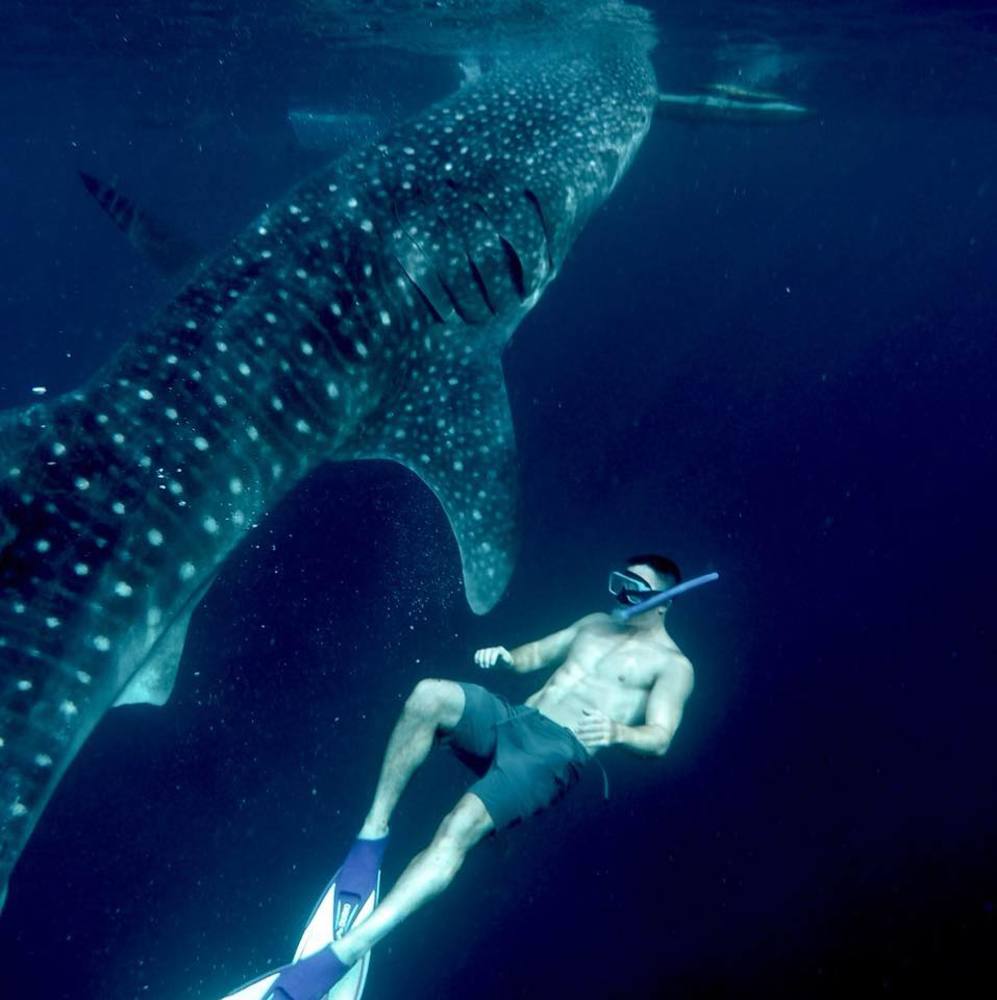 Meet your Posher, Jayme